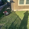 Majiks lawn service profile image