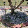 Perkins lawn and construction profile image