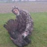 jeffs lawn care profile image
