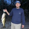 All out lawn care LLC profile image
