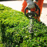 Whitt Landscaping profile image