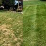 Friendly lawn care profile image