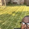 Edgeless lawn care profile image