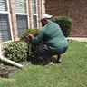 On Hit Lawn Care profile image