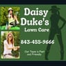 Daisy Duke's Lawn Care profile image