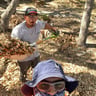 Matt's landscaping profile image