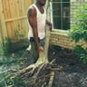 Wallace&SONS LAWN CARE profile image