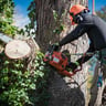 Knipp's Lawn Care profile image