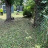 Green landscaping profile image