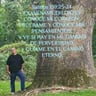 Caraballo landscaping LLC profile image