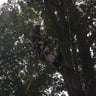 Noll Lawn Maintenance profile image