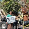 The palm tree man llc profile image