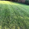 Snows and Mows profile image