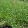 Mr.geterdone lawn care profile image