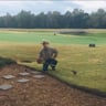 Mike's Lawns profile image