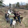 Brandon's Hauling and Outdoor Services LLC profile image