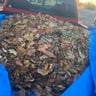 M.G.G. LANDSCAPING LLC profile image