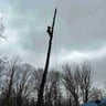 Simmons Tree Services profile image