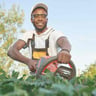 Miyade Landscaping LLC profile image