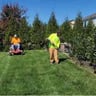 American lawn care profile image