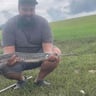 Pinedas lawn service. profile image