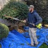Josh's Lawn Maintenance profile image