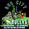 Bus city bullys profile image
