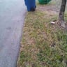 Five Star Lawn care profile image