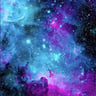 Nova's Nature Care profile image