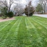 Perfect cut lawn care profile image