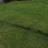 Allens lawncare LLC profile image