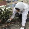 West Coast Lawn Care profile image