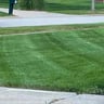 Epic Lawn Care profile image