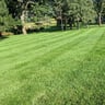 Veteran Lawn Care & snow removal llc profile image