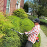 Eagle green landscaping LLC profile image