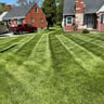 Tommy lawn care profile image