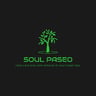 soul paseo company profile image