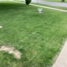 Larry's lawn service profile image