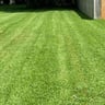 336 landscapeing profile image