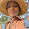 Ibis Nurseries profile image
