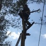 Tip Top Landscaping & Tree Service profile image