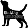 BlackDog Landscaping LLC profile image