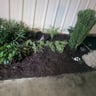 A1lawn services profile image