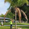 A+R Pro Landscape, LLC profile image