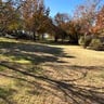 Aloha Landscaping profile image