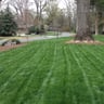 Caponi Lawn and Landscape profile image