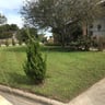 Sarah's detailed lawn services profile image