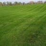 Blue Sky Lawn Care profile image