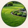 Lawnzilla profile image