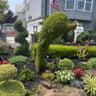 D&R Lawns profile image